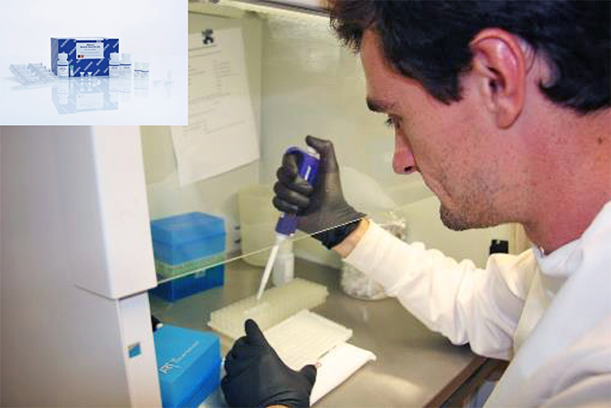 Fungal DNA is extracted from frozen tissue samples by a lab assistant.